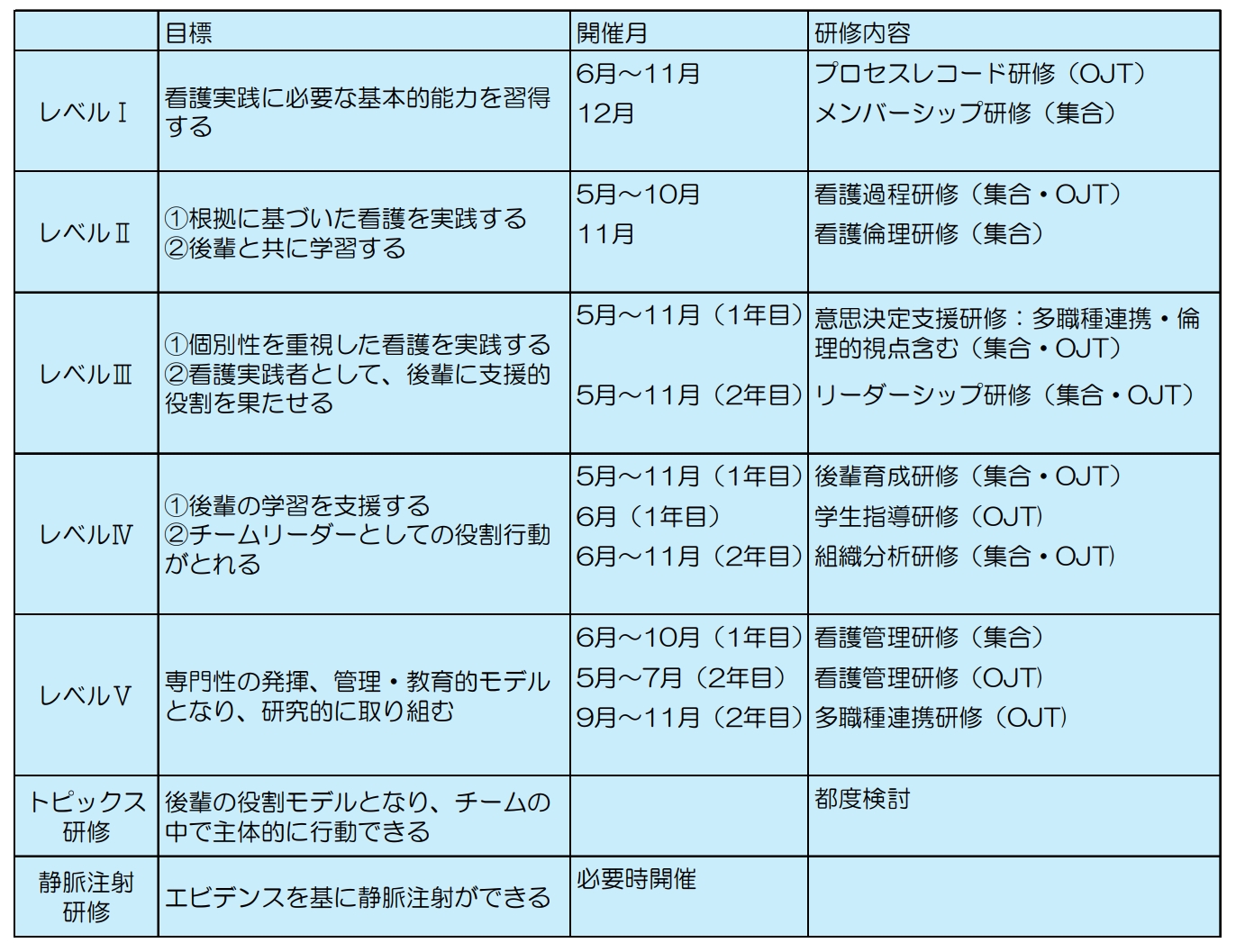 看護師研修 年間計画一覧