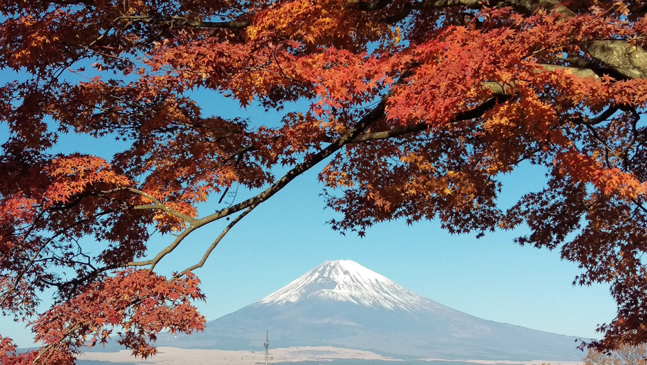 国立駿河療養所からの紅葉と富士