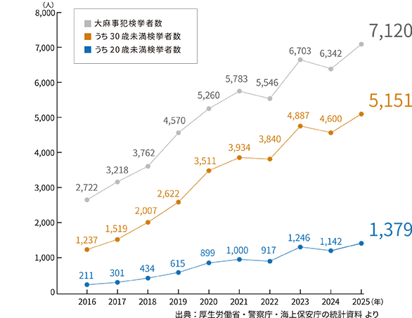 大麻事犯検挙状況の推移
