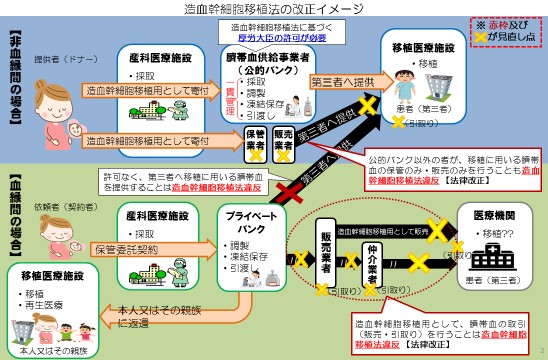 臍帯 血 バンク