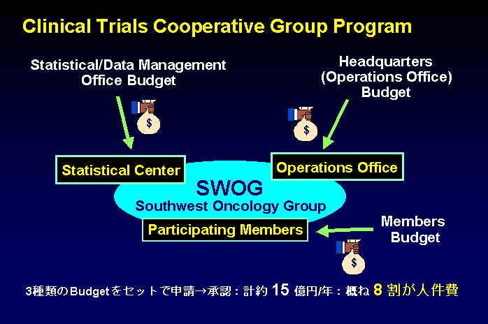 Clinical Trials Cooperative Group Program̐}