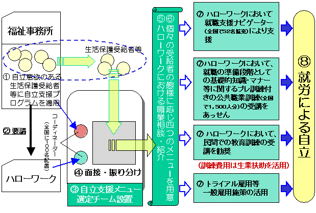 n[[NƂ̘Agɂ鐶ی󋋎ғ̏AJx̃C[W}