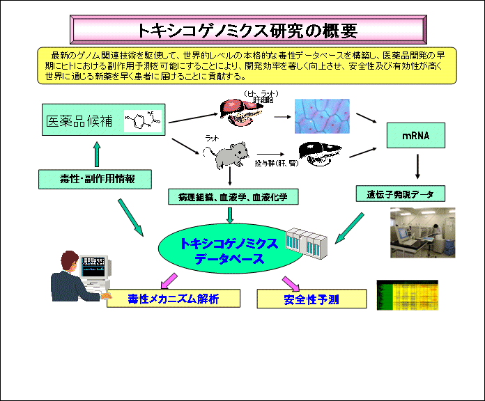 金　基盤等から採取　約2g