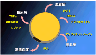 èèªç´°èããå¤å½©ãªççæ´»æ§ç©è³ªãåæ³ãããå³