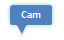 Cam