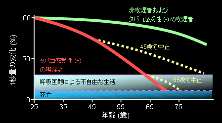 iCOPD̐is̃Ot