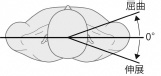 2JH00000226032.jpg
