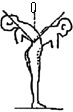 3JH00000002611.jpg