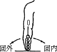 3JH00000002618.jpg