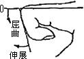 3JH00000002627.jpg