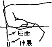 3JH00000002628.jpg