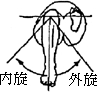 3JH00000002632.jpg