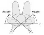 2JH00000226071.jpg