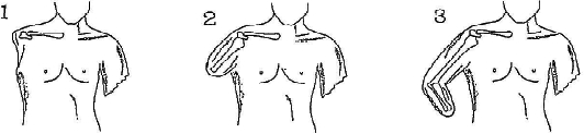 3JH00000002105.jpg
