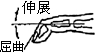 3JH00000002636.jpg