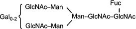 3JH00000007246.jpg