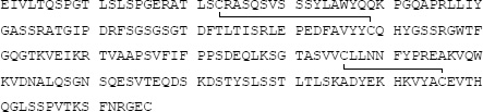 2JH00000215751.jpg