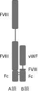 2JH00000227865.jpg