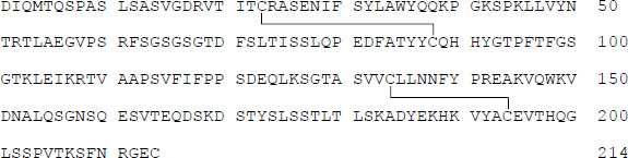 2JH00000227867.jpg