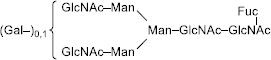 2JH00000227876.jpg