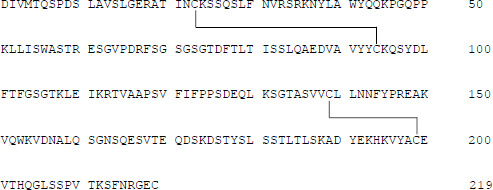 2JH00000227882.jpg