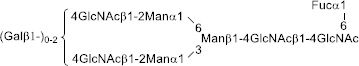 2JH00000227883.jpg