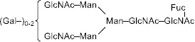 2JH00000233340.jpg