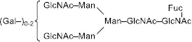 2JH00000233343.jpg