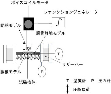 2JH00000235075.jpg