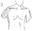 2JH00000241247.jpg