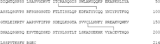 2JH00000247881.jpg