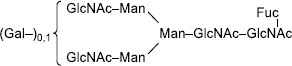 2JH00000247882.jpg