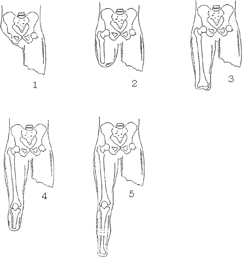 3JH00000235130.jpg