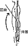 3JH00000001183.jpg
