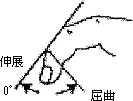 3JH00000001193.jpg