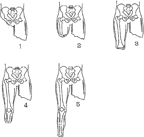 3JH00000002106.jpg