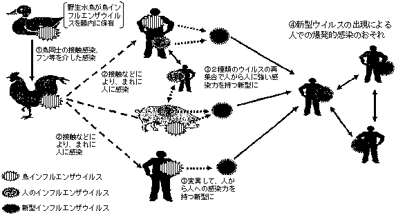 3JH00000002272.jpg