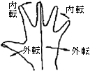 3JH00000002688.jpg