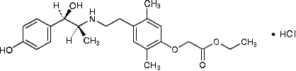 3JH00000004241.jpg