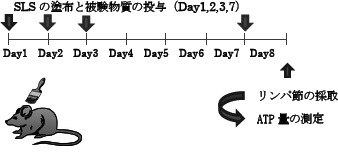 3JH00000006073.jpg