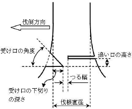 3JH00000007159.jpg