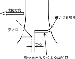 3JH00000007161.jpg
