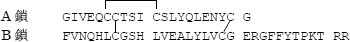 3JH00000007205.jpg