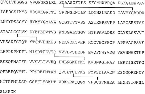 2JH00000025969.jpg