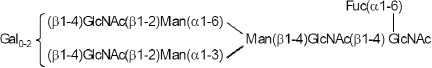 2JH00000154224.jpg
