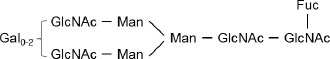 2JH00000162209.jpg