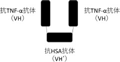 2JH00000162218.jpg