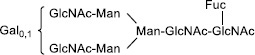 2JH00000162221.jpg