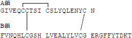2JH00000192919.jpg