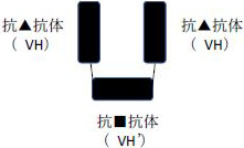 2JH00000225020.jpg